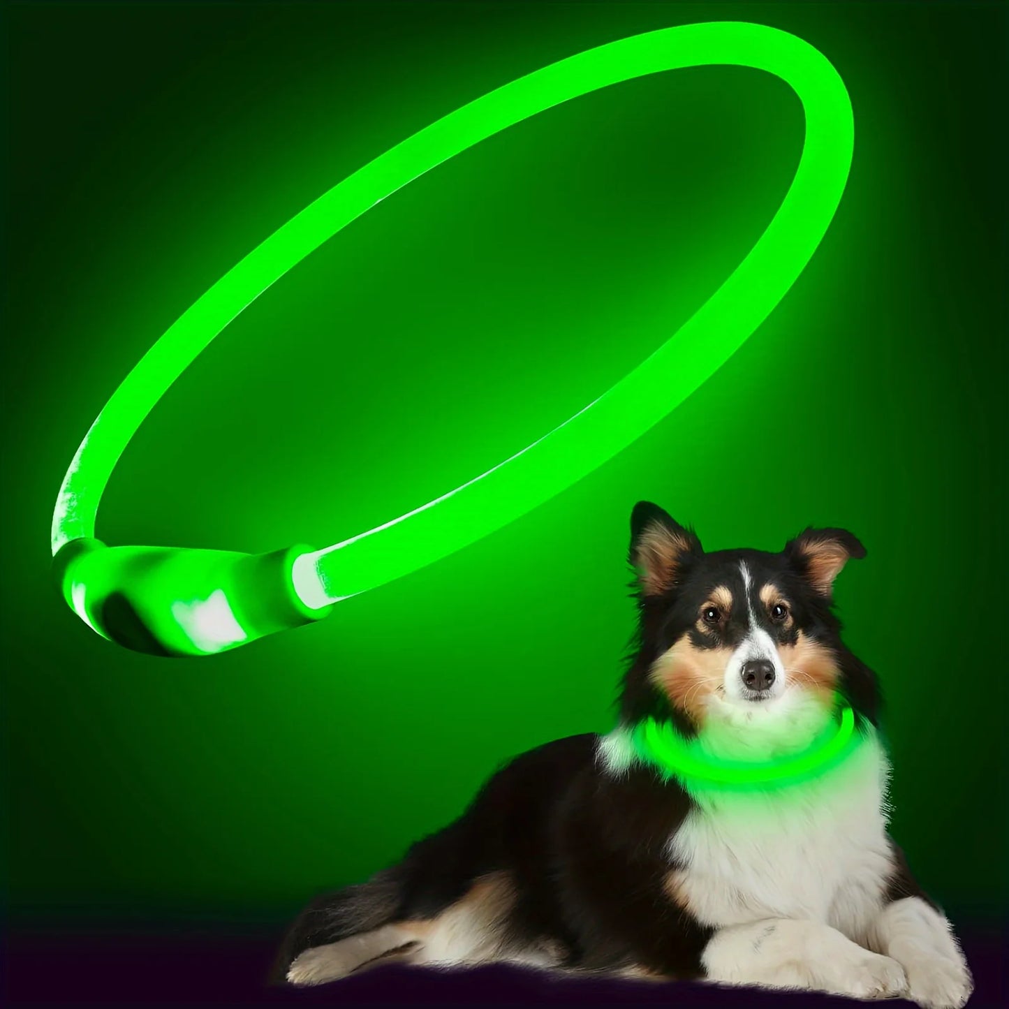 Light up your evening strolls with a versatile LED dog collar that enhances safety, makes your pup instantly visible, and adds a stylish glow to every outing.