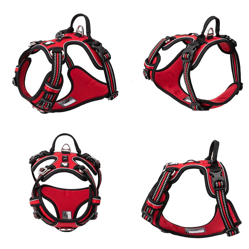 You and your dog will enjoy safer, more comfortable outings with this versatile harness that adapts to every adventure.