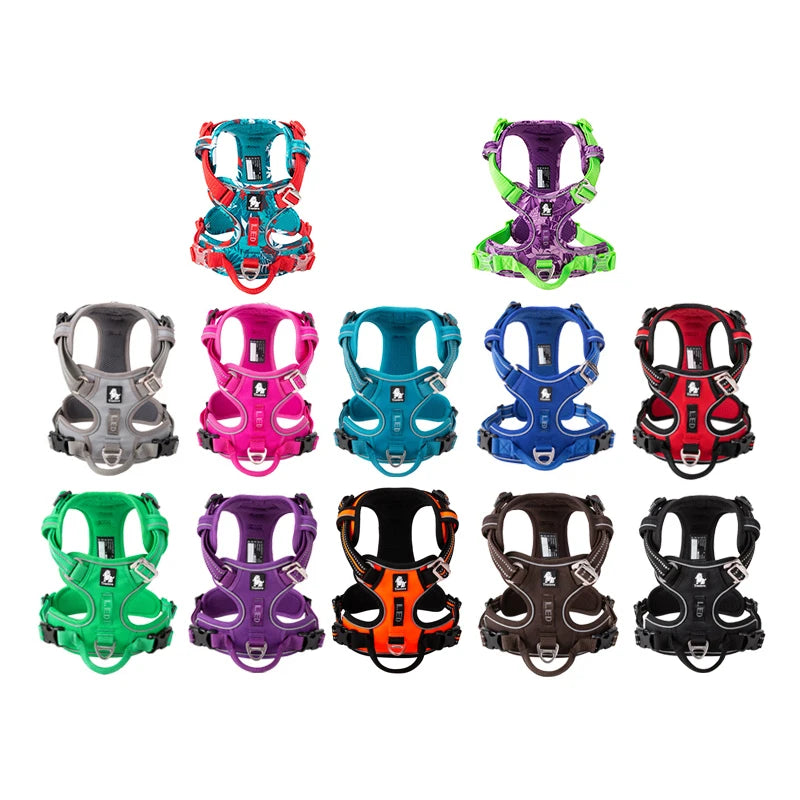 You and your dog will enjoy safer, more comfortable outings with this versatile harness that adapts to every adventure.