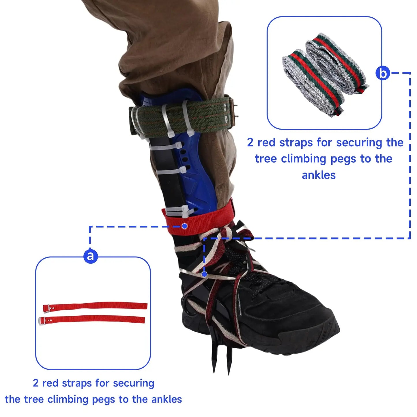 Tree Climbing Spike Set - Adjustable Tree Climbing Gear with Spike Tool