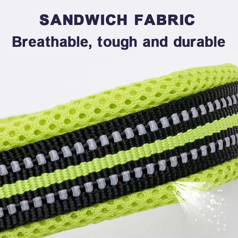 Winhyepet Padded Nylon Dog Walking Collar Reflective Buckle 11 Colors