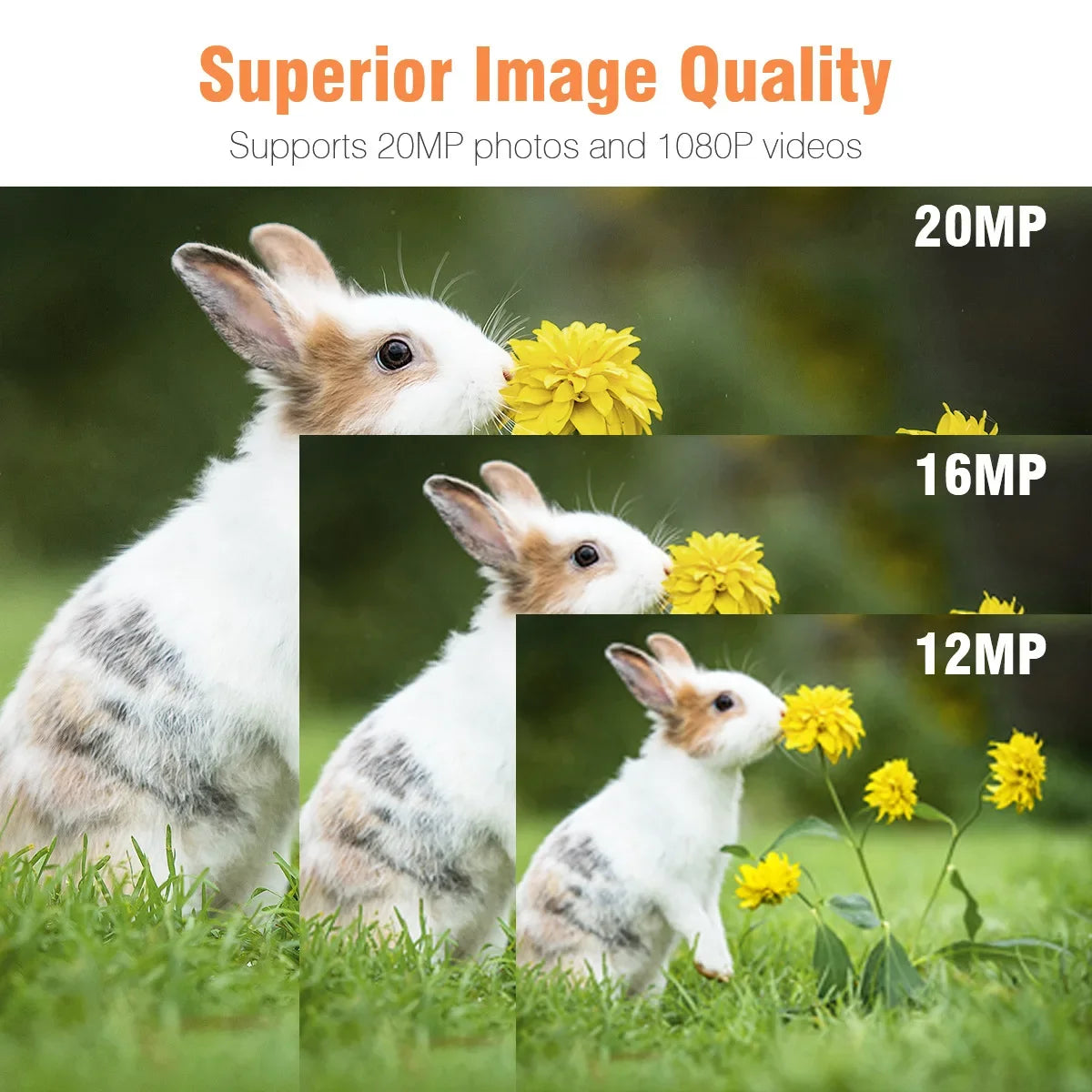 Capture stunning wildlife moments with this compact trail camera carefully engineered to keep you connected to nature.