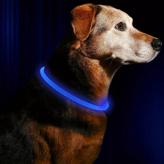 Light up your evening strolls with a versatile LED dog collar that enhances safety, makes your pup instantly visible, and adds a stylish glow to every outing.