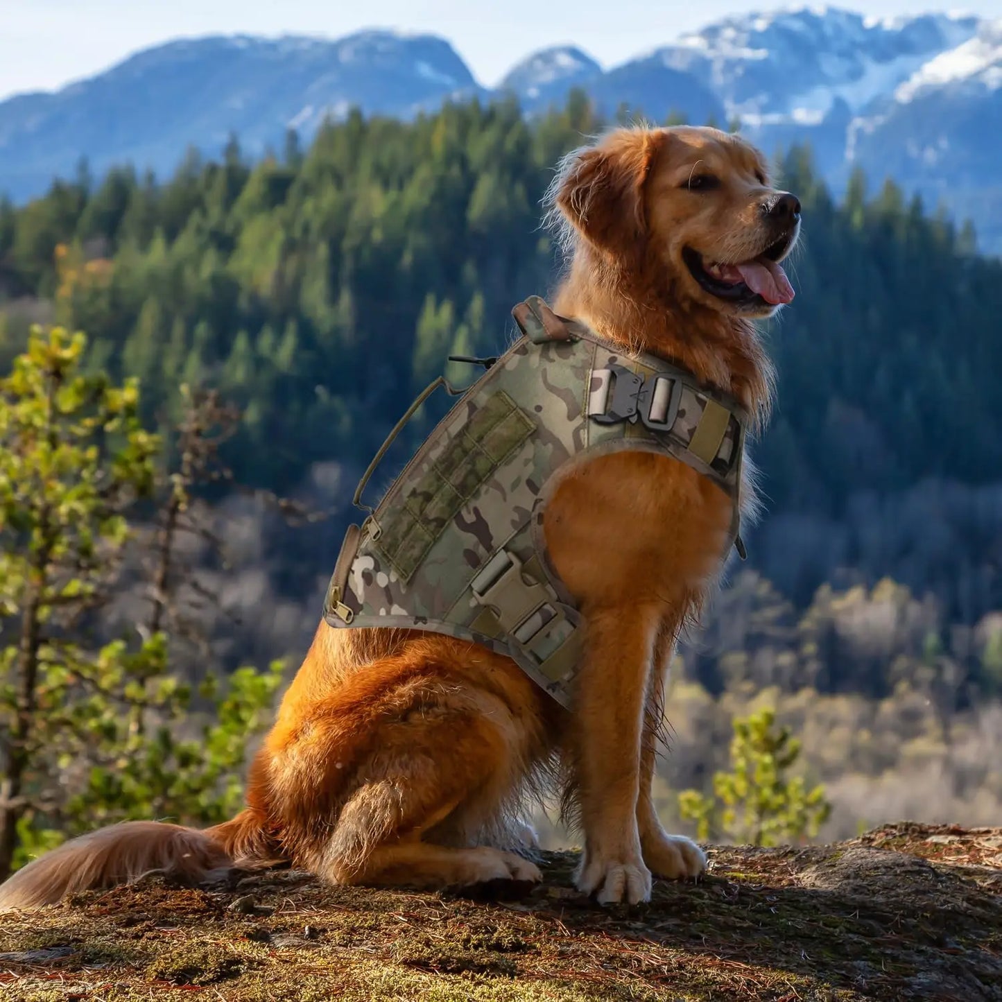 Adjustable No-Pull Tactical Dog Harness for Medium/Large Dogs, Camouflage with Handle & Pouches