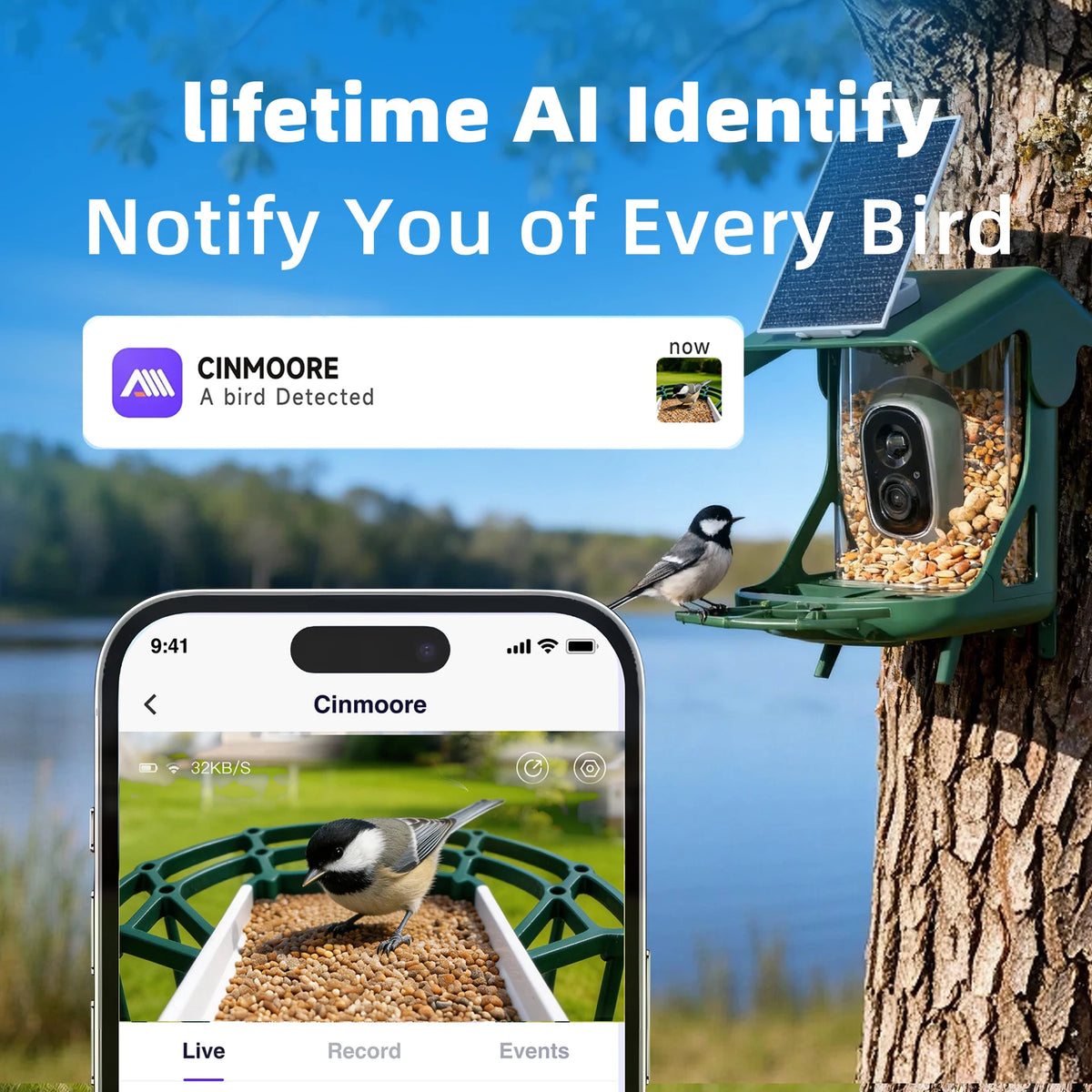 Capture every wingbeat and feather detail with this solar-powered smart bird feeder camera designed to bring nature directly to your screen.
