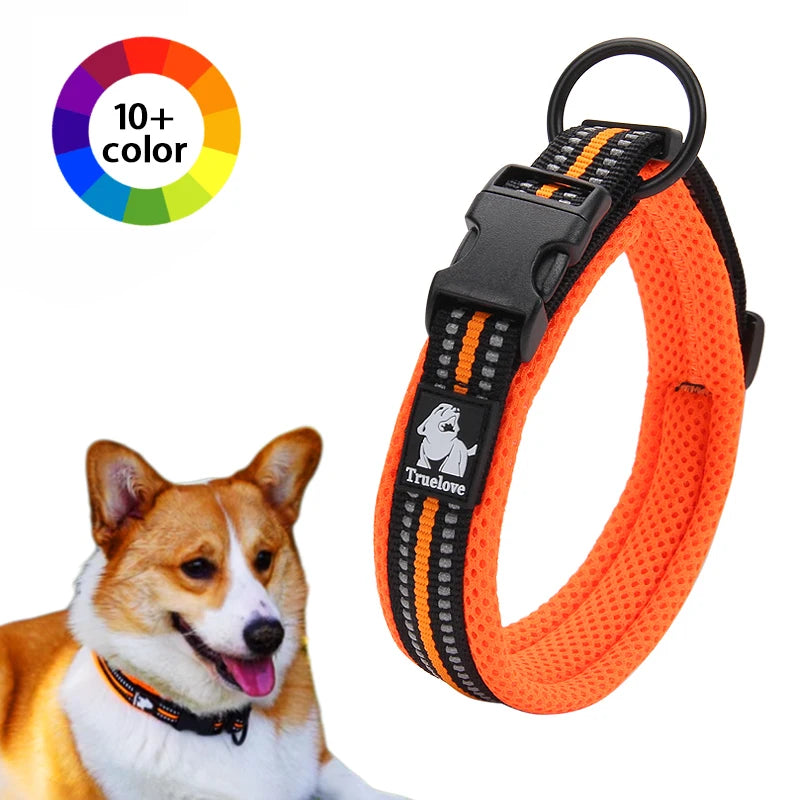 Winhyepet Padded Nylon Dog Walking Collar Reflective Buckle 11 Colors