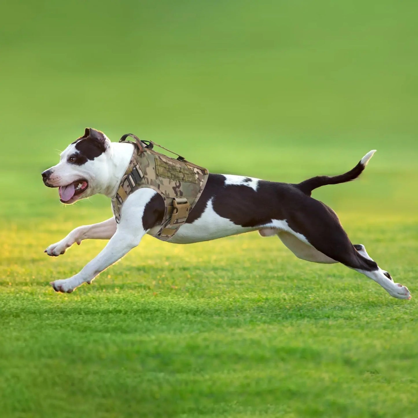 Adjustable No-Pull Tactical Dog Harness for Medium/Large Dogs, Camouflage with Handle & Pouches