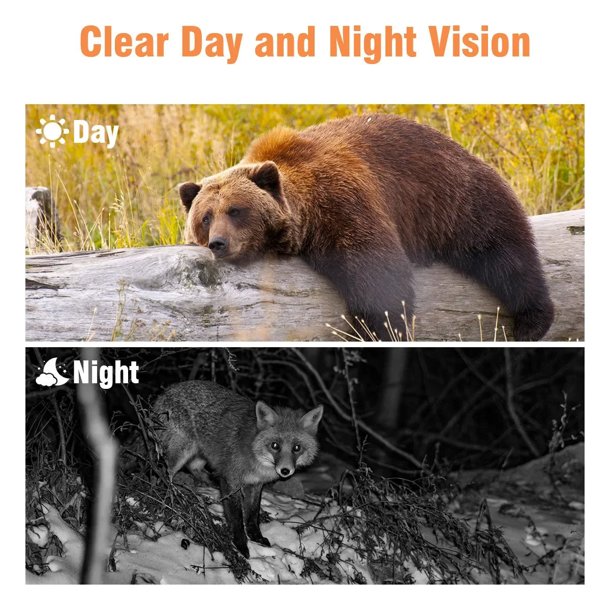 Capture stunning wildlife moments with this compact trail camera carefully engineered to keep you connected to nature.