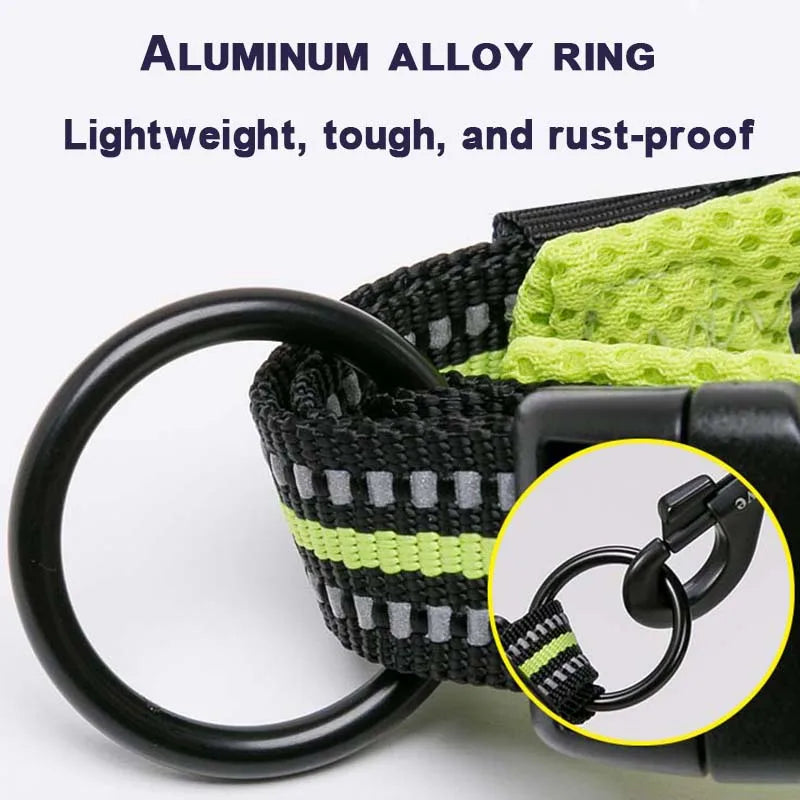 Winhyepet Padded Nylon Dog Walking Collar Reflective Buckle 11 Colors