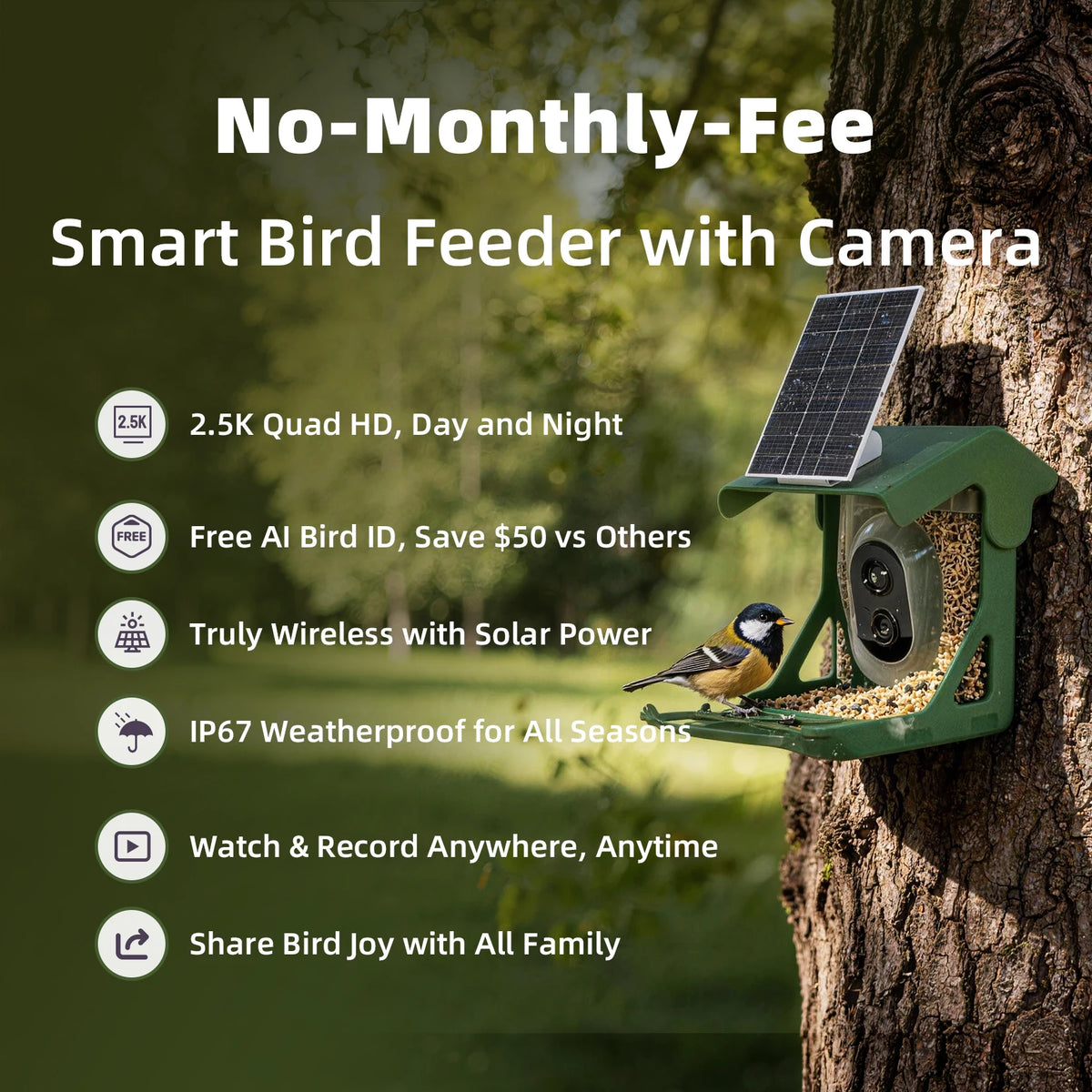Capture every wingbeat and feather detail with this solar-powered smart bird feeder camera designed to bring nature directly to your screen.