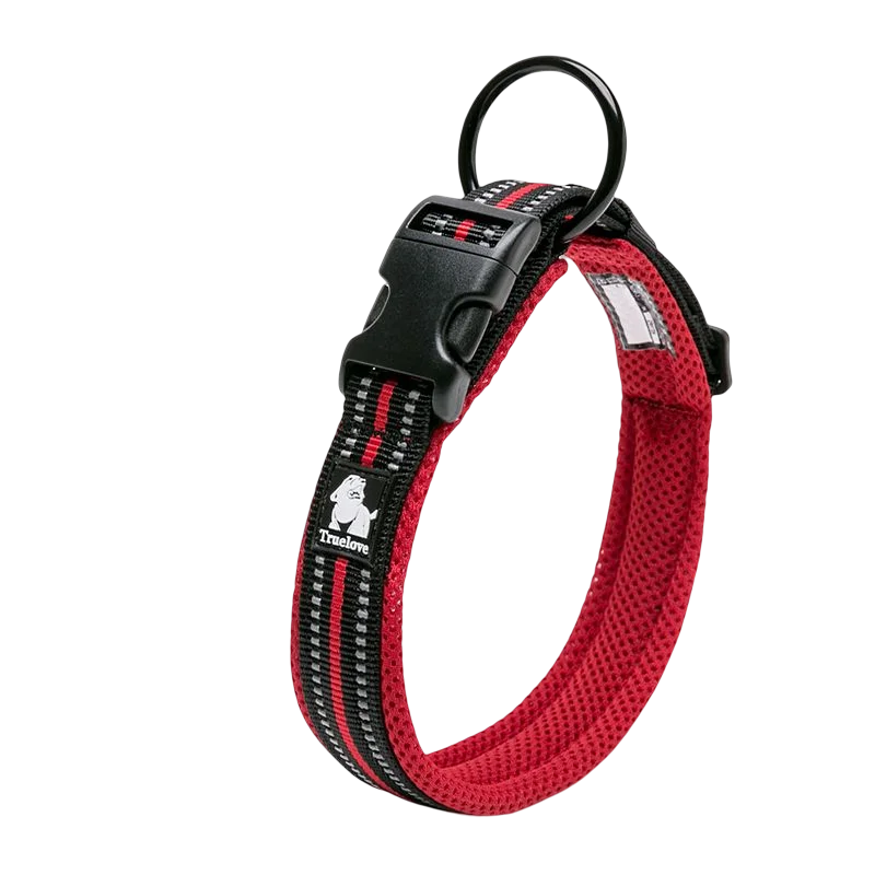 Winhyepet Padded Nylon Dog Walking Collar Reflective Buckle 11 Colors